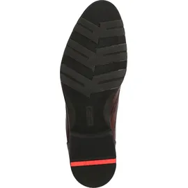 LLOYD JEFFREY braun / Braun