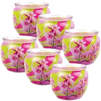 HS Candle Duftkerze Motiv 6er Pack Blütenzauber