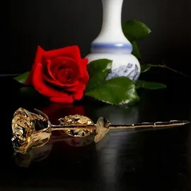 MikaMax Rose 24 Karat Gold - Gold