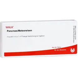 Pancreas/Meteoreisen
