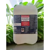 CleanPrince Anti Schimmel Grundierung 10 Liter | Schimmelgrundierung Schimmelschutz Schimmelimprägnierung