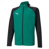 Puma Teamliga Training Jacket Jr pepper green-puma black (05) 164
