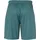 Uhlsport Center II Shorts Grün 164