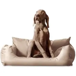 Tierlando NEMO Hundebett Hundesofa S M L Hundekorb Katzenbett 65 80 100cm beige 65 cm, 20 cm, 50 cm