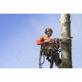 Husqvarna 550 XP Mark II / 38 cm