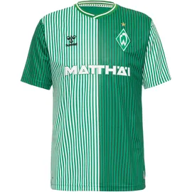 hummel Werder Bremen 23-24 Heim Teamtrikot Herren, grün,