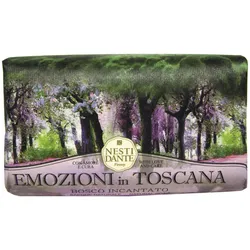 Nesti Dante Bosco Incantato