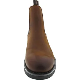 GANT Prepdale Herren Braun 40