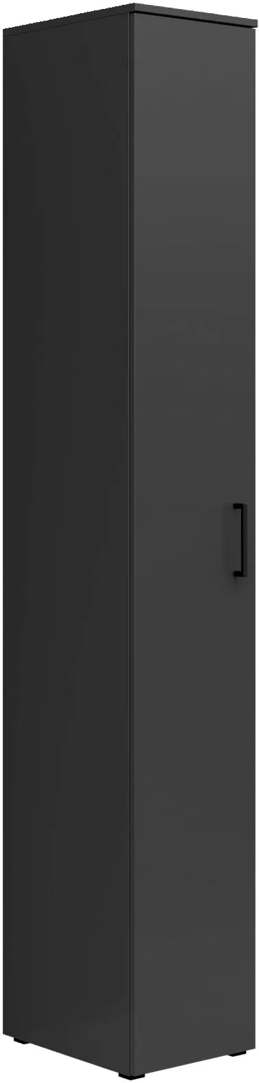 Carryhome Mehrzweckschrank MULTISTAURAUM - B/H/T ca. 30.00x195.00x40.00