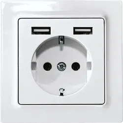 Eltako Schutzkontakt-Steckdose DSS55E+2xUSBA-wg