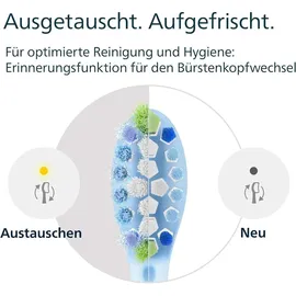 Philips Sonicare C3 Premium Plaque Defence Aufsteckbürste HX9042/87 2 St.