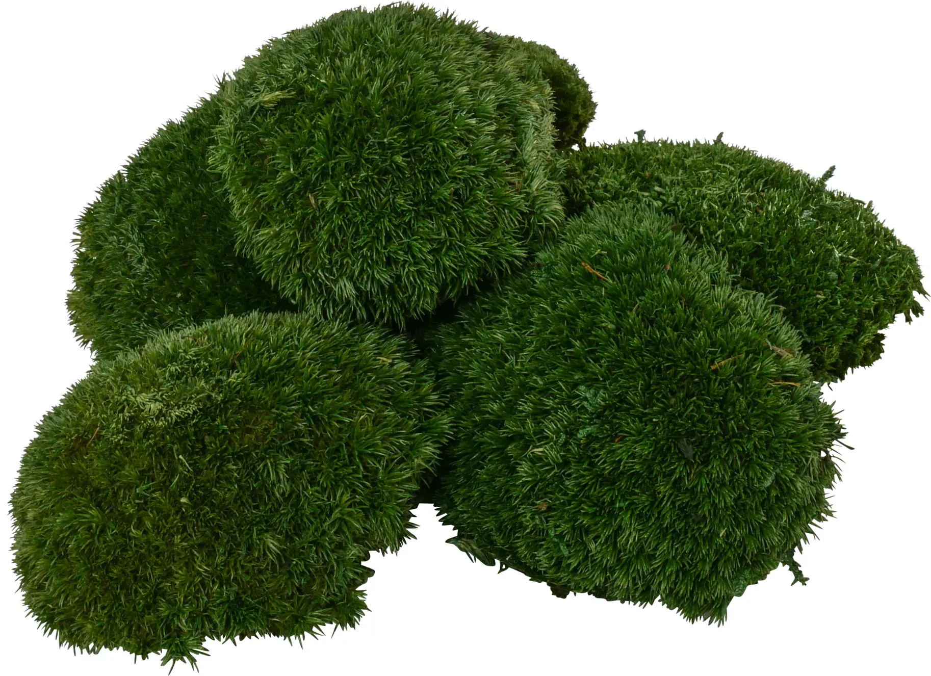 Kugel Moos klein 800g natur grün