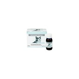 Alfavet ReConvales Tonicum Katze 6 x 45 ml