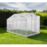 Westmann Aluminium Gewächshaus Flora 610 | Silber | 312x192x201 cm