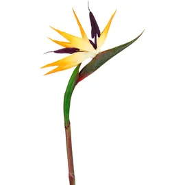 I.GE.A. Künstliche Blume Strelitzie Paradiesvogelblume Exotischer Dekozweig Zweig Einzelblume Dekoblume Tropische Vase Arrangement Gesteck Stielblume Gold Hochzeit Hawaii Party Themenparty Dekoration