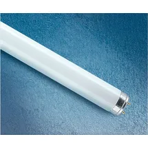 Osram Lumilux T8 L 36W/840 G13
