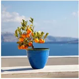 H&D Manufaktur Jinfa Ø 39,5 x 33,5 cm Marineblau