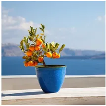 H&D Manufaktur Jinfa Ø 39,5 x 33,5 cm Marineblau