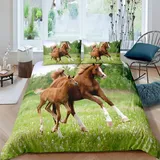 Loussiesd Braune Pferde Bettbezug Set 3D Tiere Pferd Bettwäsche Set 135x200 cm Naturthema Grünes Gras Bettwäsche für Kinder Mädchen Jungen Ultra weich Mikrofaser Betten Set mit 1 Kissenbezug