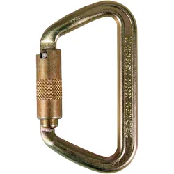 ISC Karabiner Iron Wizard Trilock