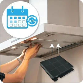 Electrolux AEG MCFE01 Kohleaktivfilter