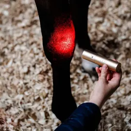Horseware Ireland Therapiestab für LED-Rotlicht-Therapie Copper Onesize