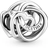Pandora Charm Familie Für Immer Eingekreistes Heart Silber