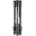 Manfrotto Befree Live Carbon Kit Twist mit Fluid-Videokopf
