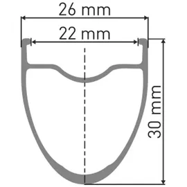 DT Swiss ER 1600 Spline 30 Db 28Zoll/22Mm Alu, Schwarz, Center Lock,100/12Mm Ta