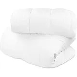 ASPERO Winter Daunendecke 2-teilig in Extrawarm | Gr.: 155 x 220 cm