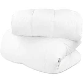 ASPERO Winter Daunendecke 2-teilig in Extrawarm | Gr.: 155 x 220 cm
