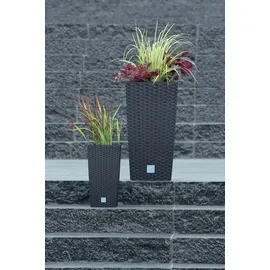 Prosperplast Rato Square 33 x 33 x 61 cm anthrazit