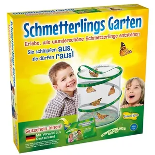 Schmetterlinge züchten