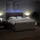 vidaXL Boxspringbett mit Matratze Taupe 180x200 cm Stoff