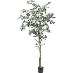 CREATIV green künstliche Pflanze Olivenbaum, ca 210cm