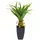 Europalms Agave im Topf, 75cm