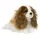 Anna Club Plush King Charles Spaniel 28177022