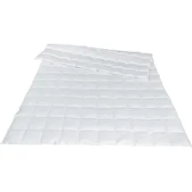 Traumina Plume Bio Daune WK 1 (Größe: 240x220 cm