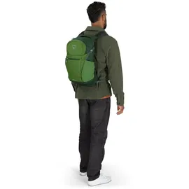 Osprey Daylite Plus green belt/green canopy