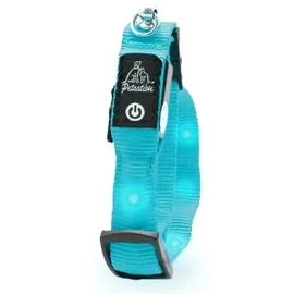 petsation Leuchtendes Katzenhalsband blau