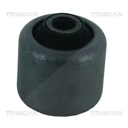 Triscan Lagerung, Lenker [Hersteller-Nr. 850011820] für BMW