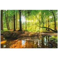 ARTland Artland, Bilder, Wald mit Bach T9IO (120 x
