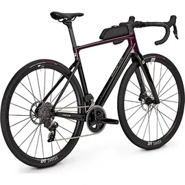 Focus Paralane 8.8 2024 28 Zoll RH 54 cm Unisex darkviolet 'n' carbon