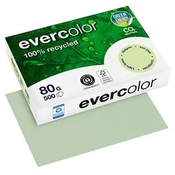 Clairefontaine Recyclingpapier Evercolor hellgrün DIN A4 80 g/qm 500 Blatt