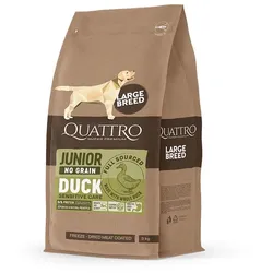 QUATTRO Ente Große Rassen Junior
