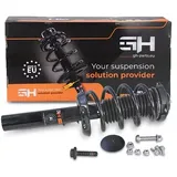 gh Federbein Komplett Federbein