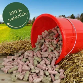 Lyra Pet Karotte-Himbeer-Kräuter Leckerli 5 kg