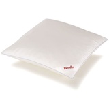 Paradies Softy Cool Bio Kissen (80x80 cm)