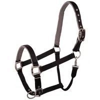 BR Halfter Event schwarz COB