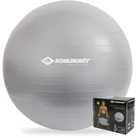 Schildkröt Unisex – Erwachsene træningsbold 65 cm Gymnastikball, Silber, 65cm - für Körpergrößen 161 bis 175cm EU